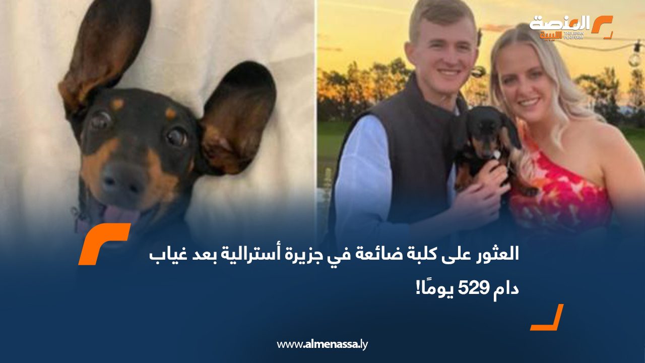 العثور على كلبة ضائعة في جزيرة أسترالية بعد غياب دام 529 يومًا!