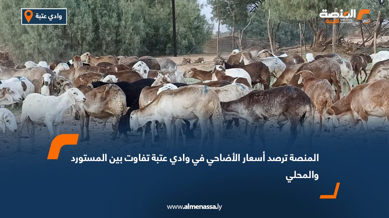 "المنصة" ترصد أسعار الأضاحي في وادي عتبة: تفاوت بين المستورد والمحلي