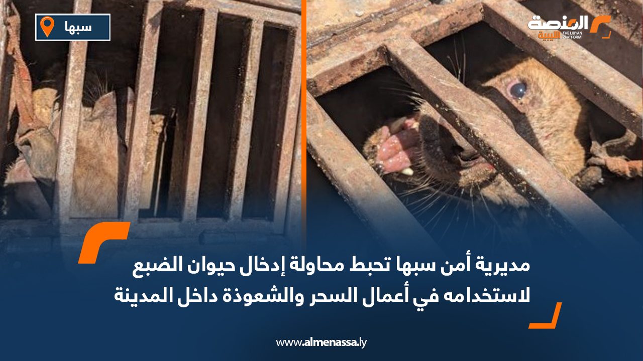 مديرية أمن سبها تحبط محاولة إدخال حيوان الضبع لاستخدامه في أعمال السحر والشعوذة داخل المدينة