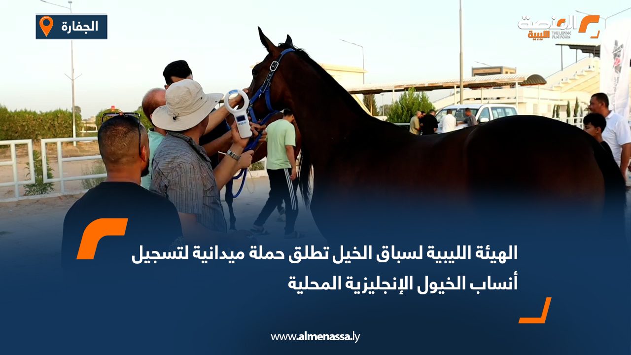 الهيئة الليبية لسباق الخيل تطلق حملة ميدانية لتسجيل أنساب الخيول الإنجليزية المحلية