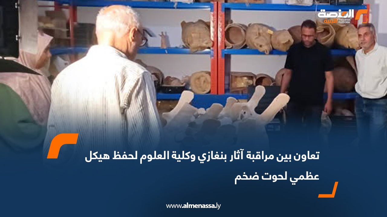تعاون بين مراقبة آثار بنغازي وكلية العلوم لحفظ هيكل عظمي لحوت ضخم