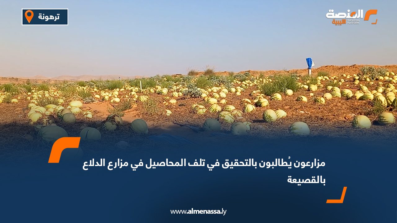 مزارعون يُطالبون بالتحقيق في تلف المحاصيل في مزارع الدلاع بالقصيعة