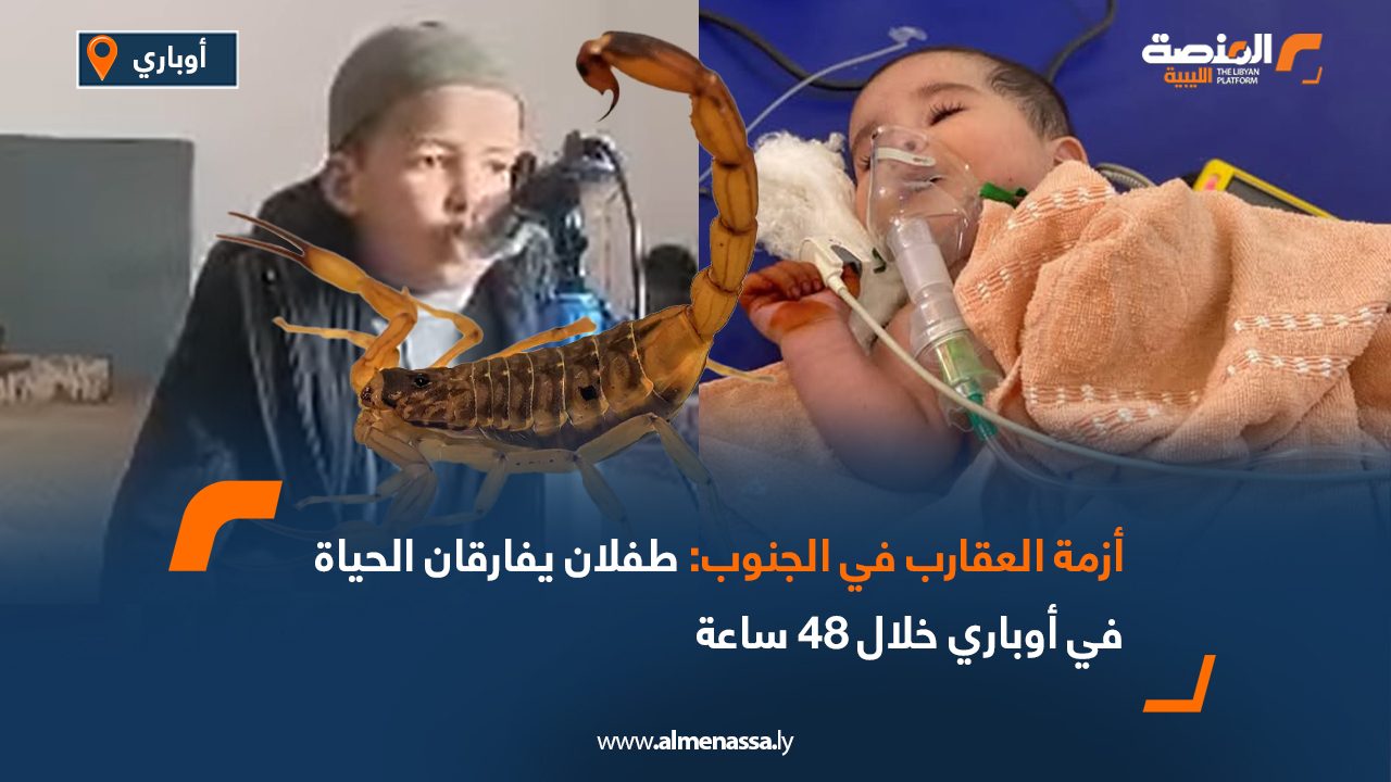 أزمة العقارب في الجنوب طفلان يفارقان الحياة في أوباري خلال 48 ساعة