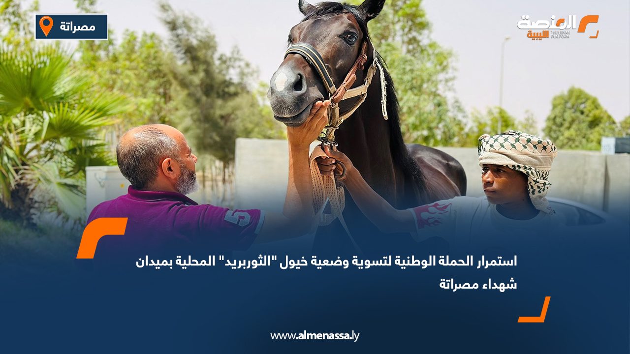استمرار الحملة الوطنية لتسوية وضعية خيول "الثوربريد" المحلية بميدان شهداء مصراتة