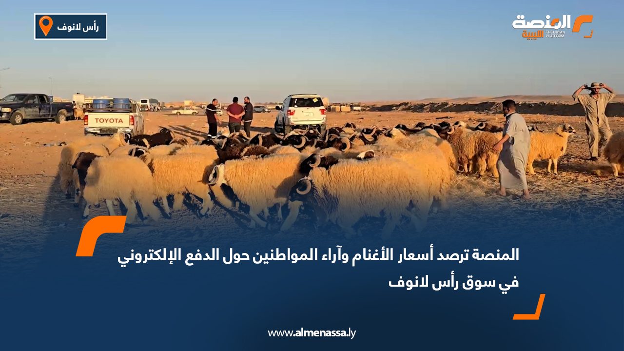 المنصة ترصد أسعار الأغنام وآراء المواطنين حول الدفع الإلكتروني في سوق رأس لانوف