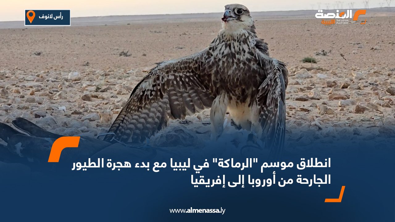انطلاق موسم "الرماكة" في ليبيا مع بدء هجرة الطيور الجارحة من أوروبا إلى إفريقيا