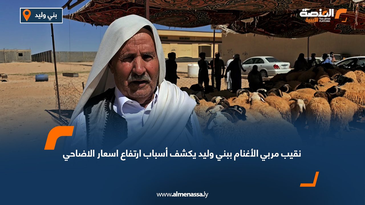 نقيب عام مربي الأغنام والمزارعين يكشف أسباب ارتفاع أسعار الأضاحي ببلديات بني وليد وتنيناي والمردوم