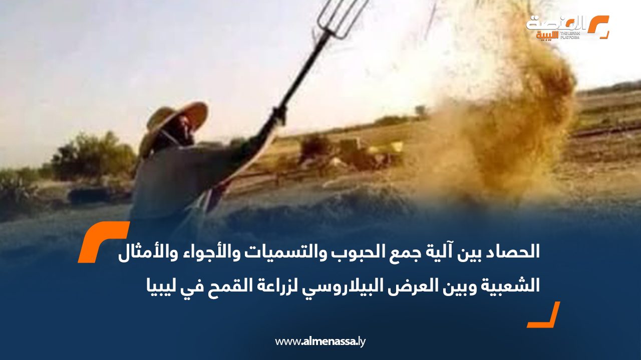 الحصاد بين آلية جمع الحبوب والتسميات والأجواء والأمثال الشعبية وبين العرض البيلاروسي لزراعة القمح في ليبيا