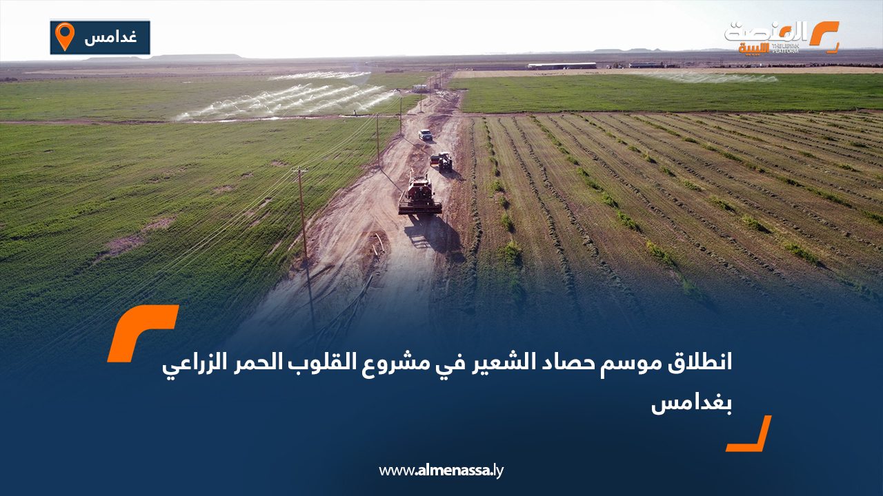 انطلاق موسم حصاد الشعير في مشروع القلوب الحمر الزراعي بغدامس