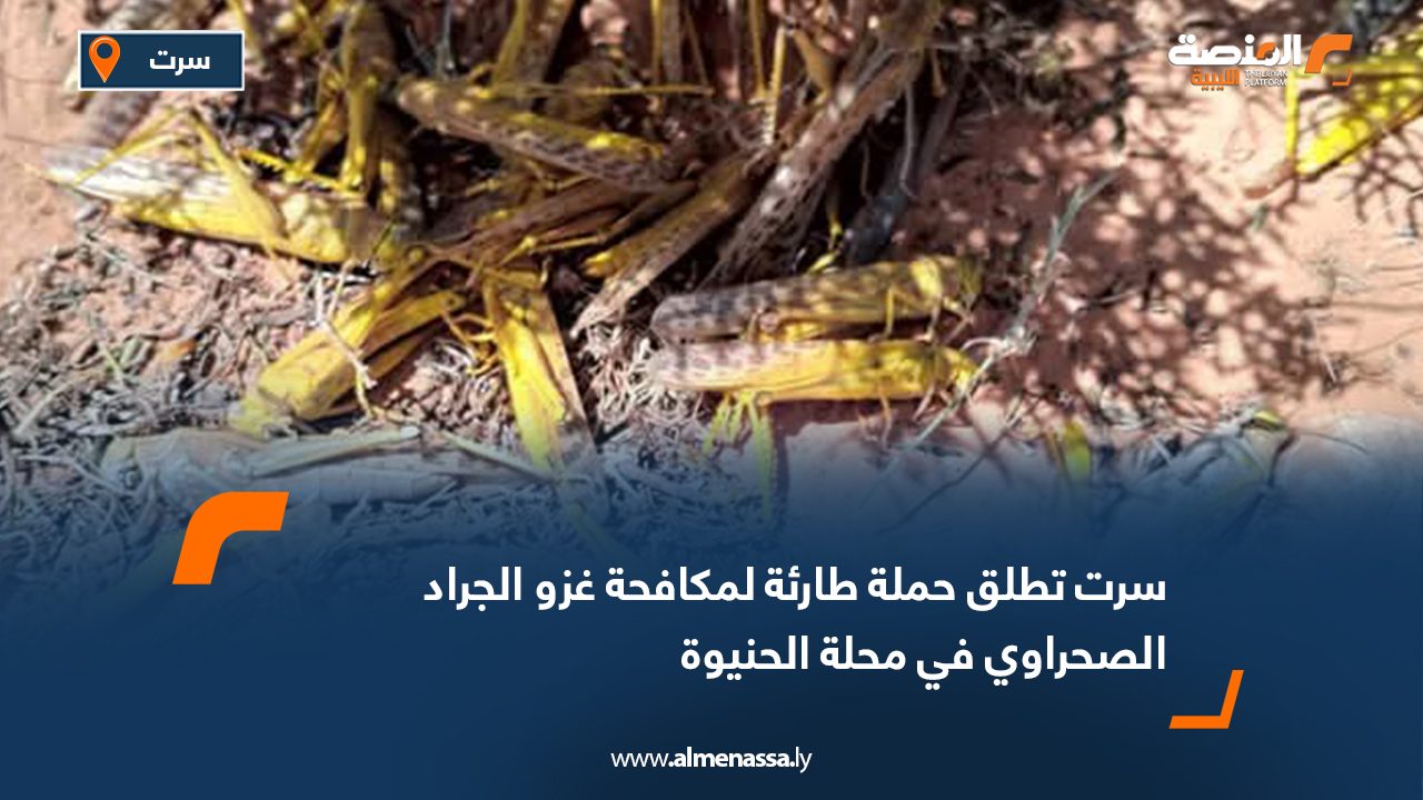 سرت تطلق حملة طارئة لمكافحة غزو الجراد الصحراوي في محلة الحنيوة