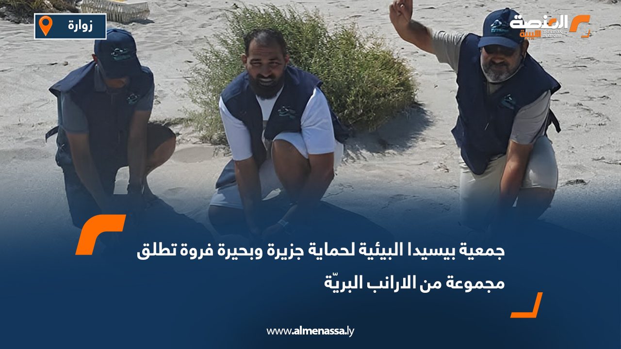 جمعية بيسيدا البيئية لحماية جزيرة وبحيرة "فروة" تطلق مجموعة من الارانب البريّة