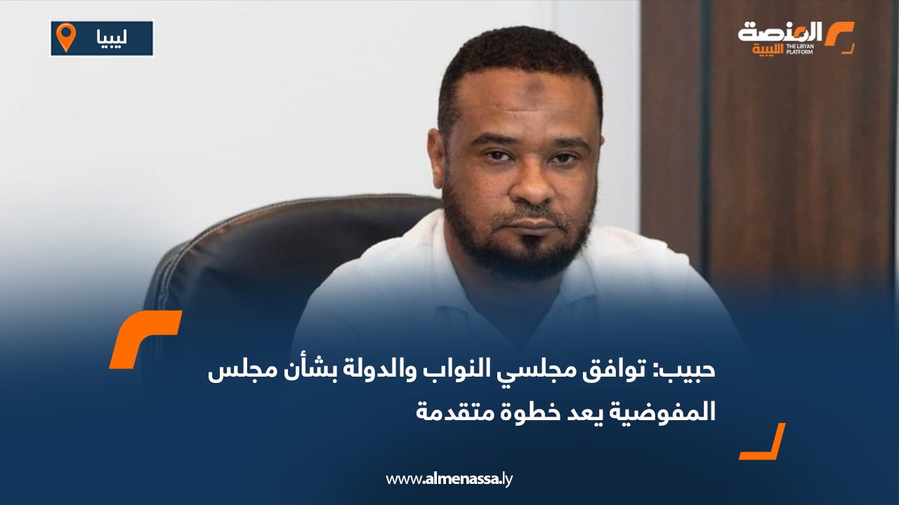 حبيب: توافق مجلسي النواب والدولة بشأن مجلس المفوضية يعد خطوة متقدمة