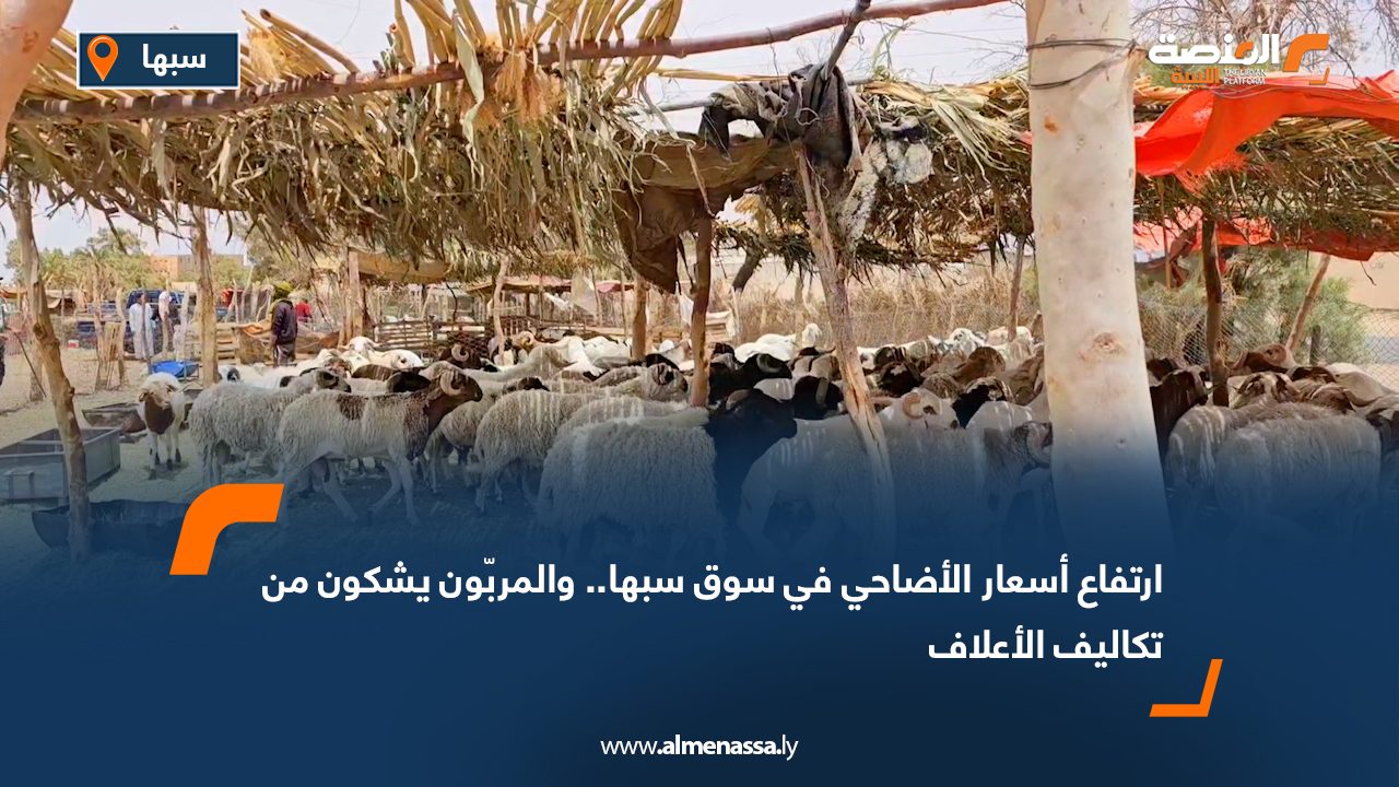 ارتفاع أسعار الأضاحي في سوق سبها.. والمربّون يشكون من تكاليف الأعلاف