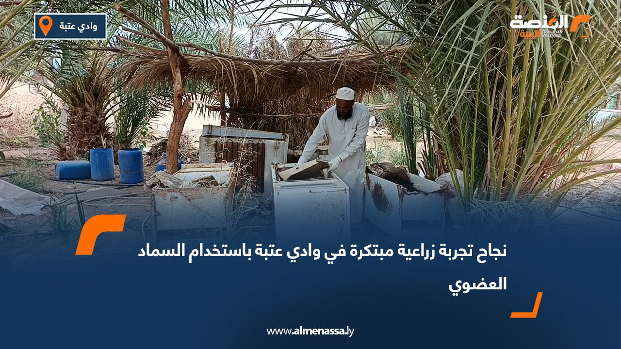 نجاح تجربة زراعية مبتكرة في وادي عتبة باستخدام السماد العضوي