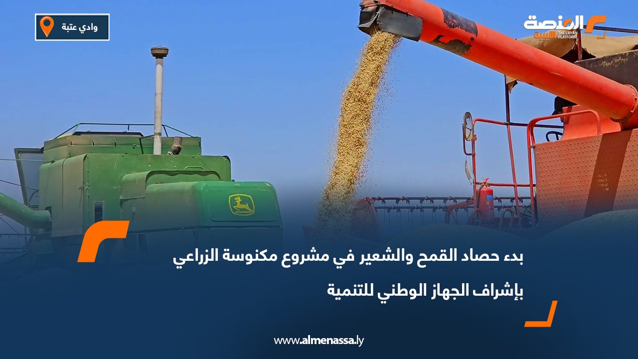 بدء حصاد القمح والشعير في مشروع مكنوسة الزراعي بإشراف الجهاز الوطني للتنمية