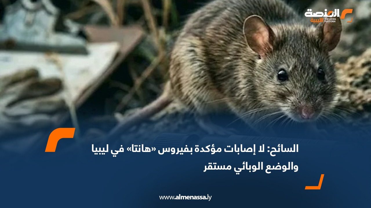 السائح: لا إصابات مؤكدة بفيروس «هانتا» في ليبيا والوضع الوبائي مستقر