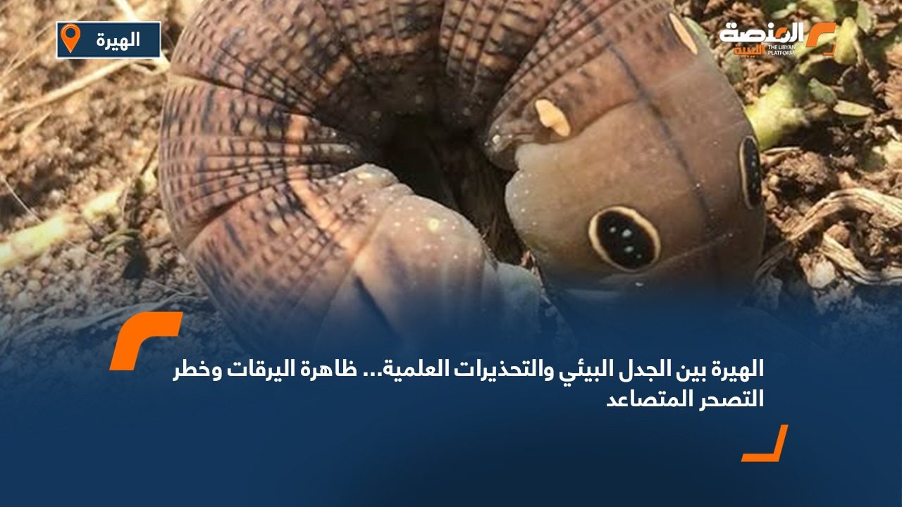 الشؤون الاجتماعية تسلم كوبونات أضاحي العيد لبلديات الجبل الغربي لدعم الأسر المحتاجة