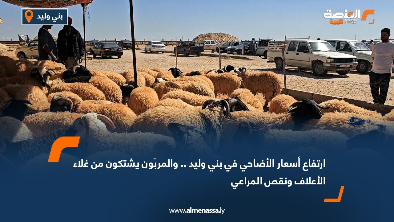ارتفاع أسعار الأضاحي في بني وليد.. والمربّون يشتكون من غلاء الأعلاف ونقص المراعي