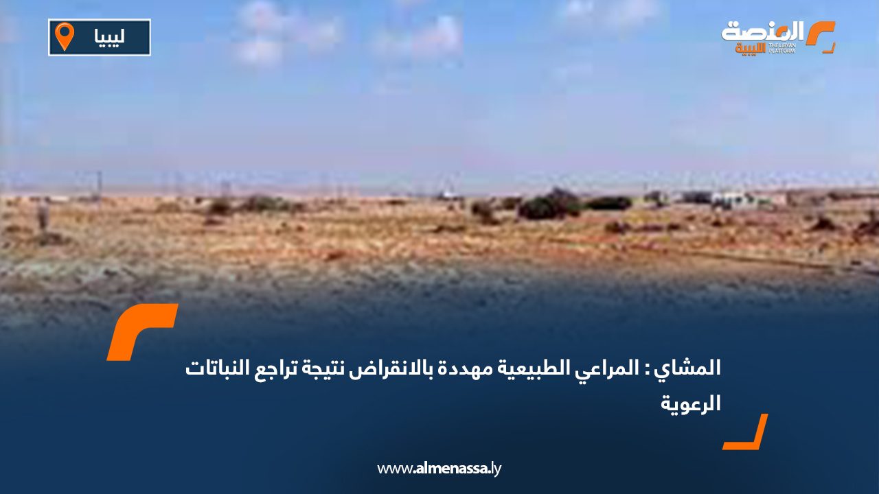 المشاي: المراعي الطبيعية مهددة بالانقراض نتيجة تراجع النباتات الرعوية