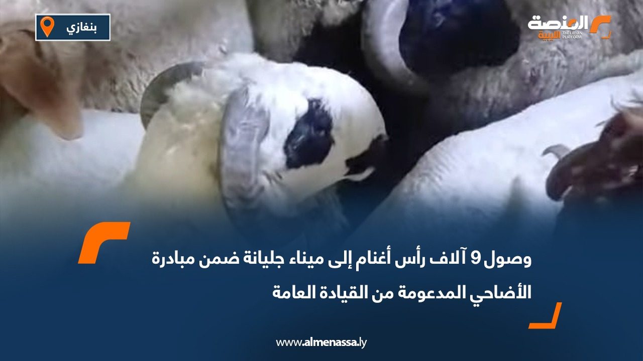 وصول 9 آلاف رأس أغنام إلى ميناء جليانة ضمن مبادرة الأضاحي المدعومة من القيادة العامة
