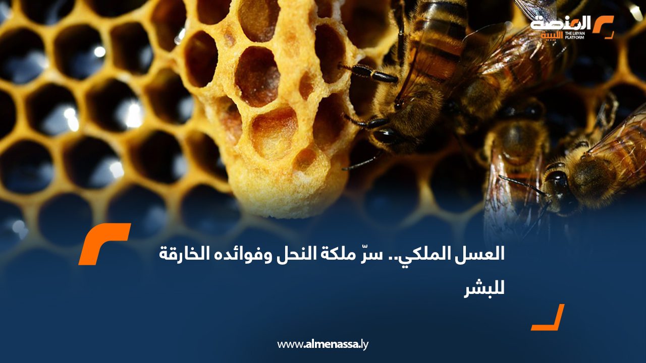 العسل الملكي.. سرّ ملكة النحل وفوائده الخارقة للبشر