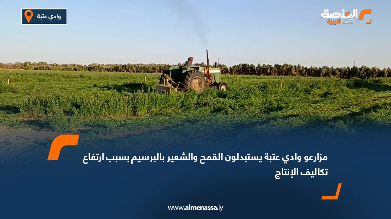 مزارعو وادي عتبة يستبدلون القمح والشعير بالبرسيم بسبب ارتفاع تكاليف الإنتاج