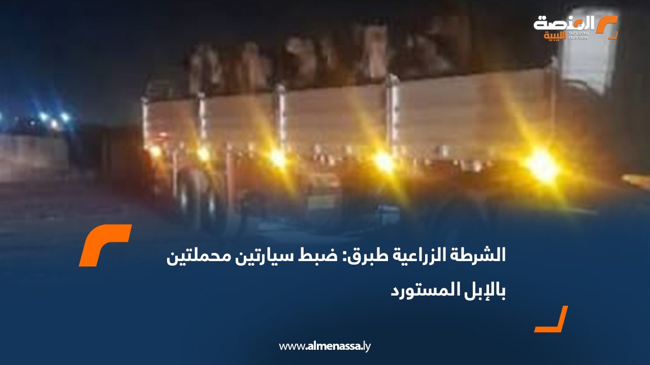 الشرطة الزراعية طبرق: ضبط سيارتين محملتين بالإبل المستورد