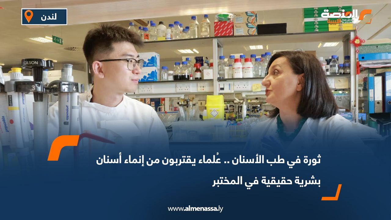 ثورة في طب الأسنان.. عُلماء يقتربون من إنماء أسنان بشرية حقيقية في المختبر