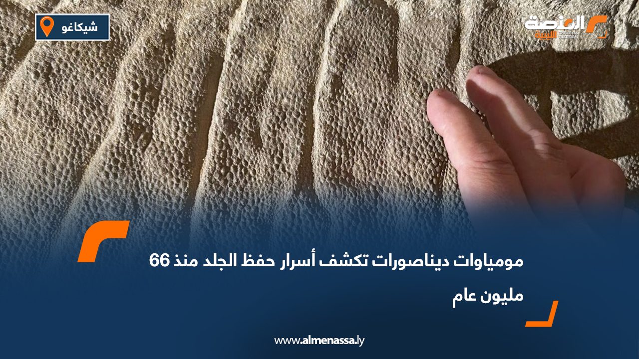 مومياوات ديناصورات تكشف أسرار حفظ الجلد منذ 66 مليون عام