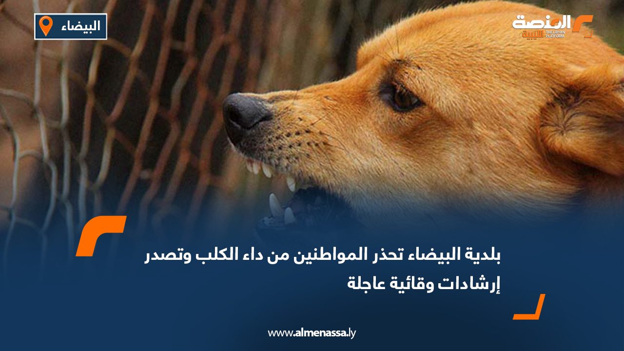 بلدية البيضاء تحذر المواطنين من داء الكلب وتصدر إرشادات وقائية عاجلة