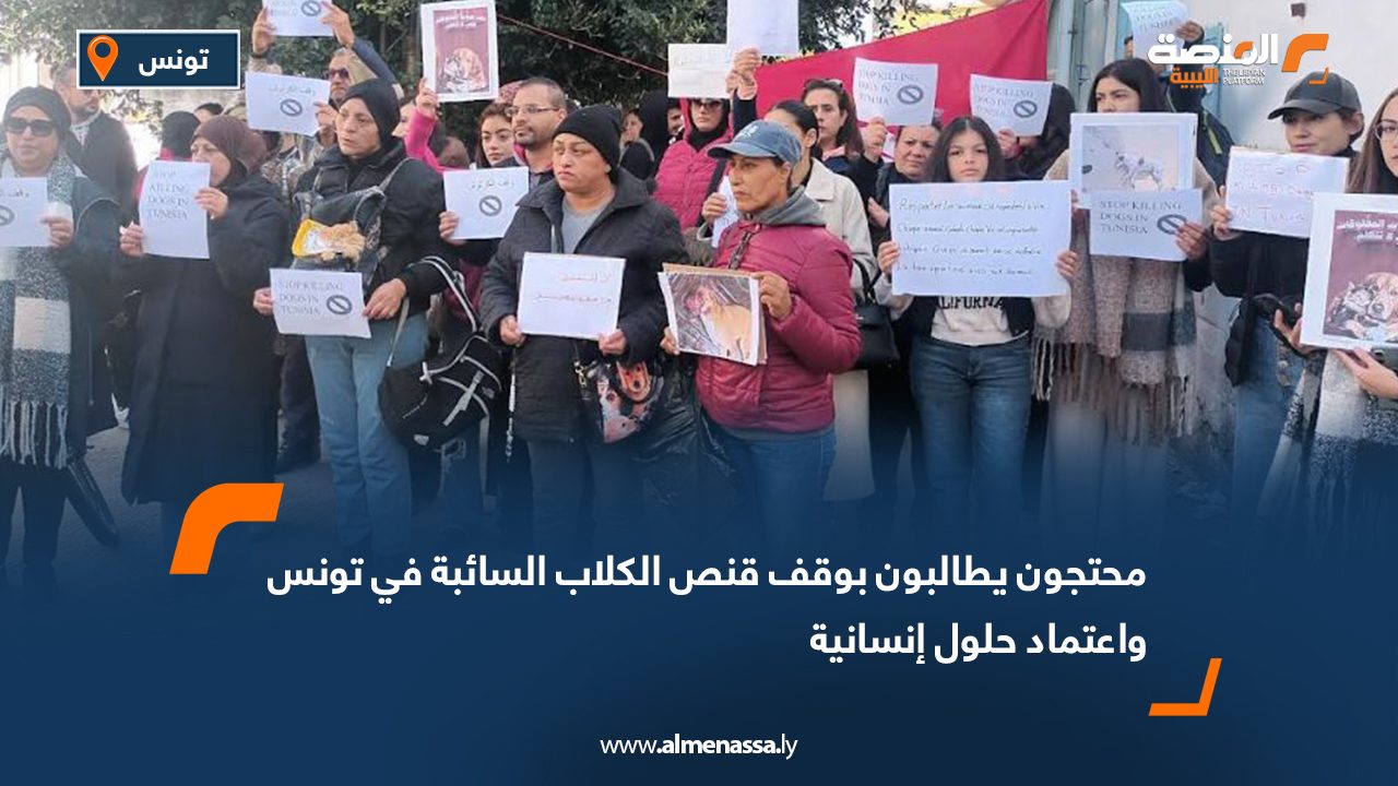 محتجون يطالبون بوقف قنص الكلاب السائبة في تونس واعتماد حلول إنسانية