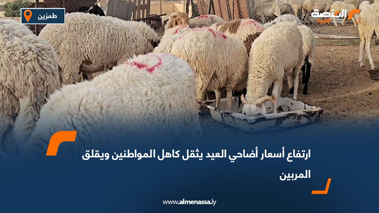 ارتفاع أسعار أضاحي العيد يثقل كاهل المواطنين ويقلق المربين