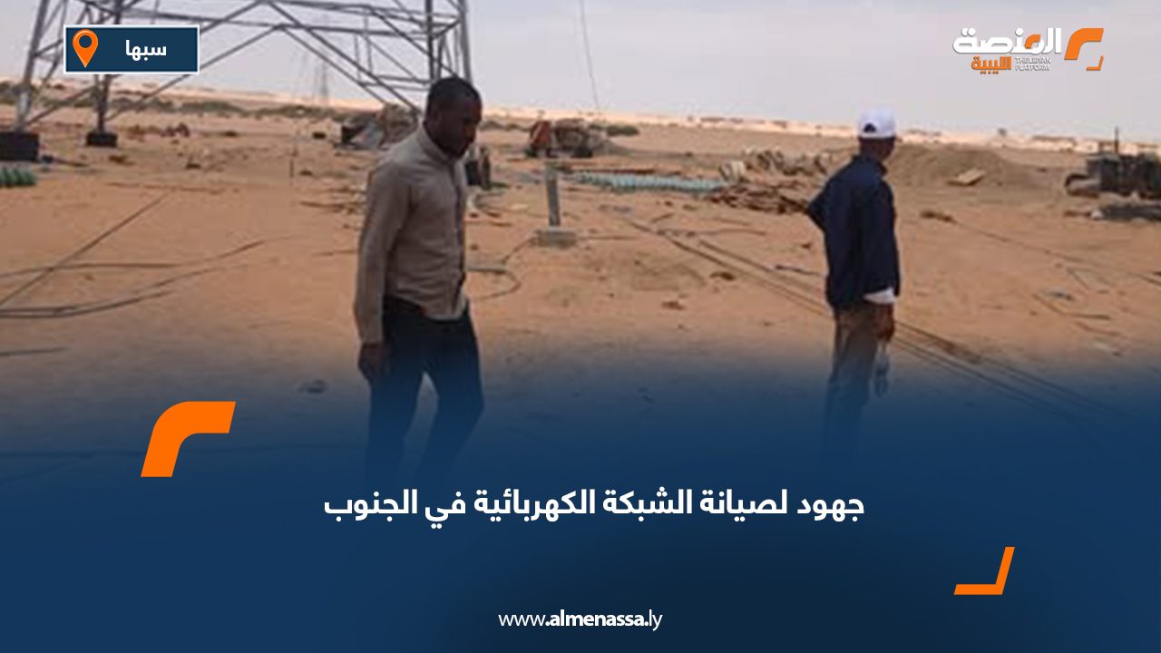جهود لصيانة شبكة الكهرباء في الجنوب
