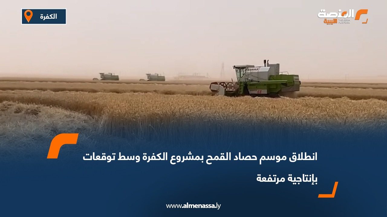 انطلاق موسم حصاد القمح بمشروع الكفرة وسط توقعات بإنتاجية مرتفعة