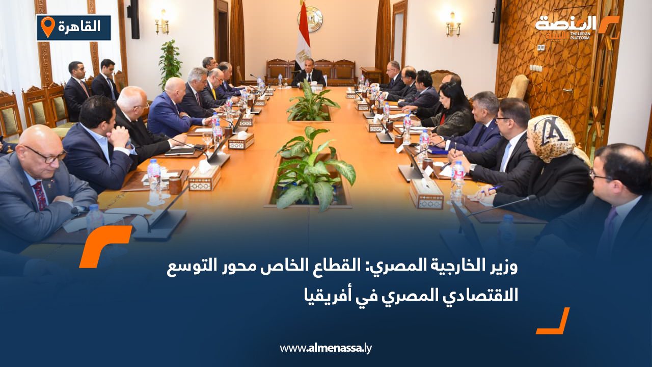 وزير الخارجية المصري: القطاع الخاص محور التوسع الاقتصادي المصري في أفريقيا