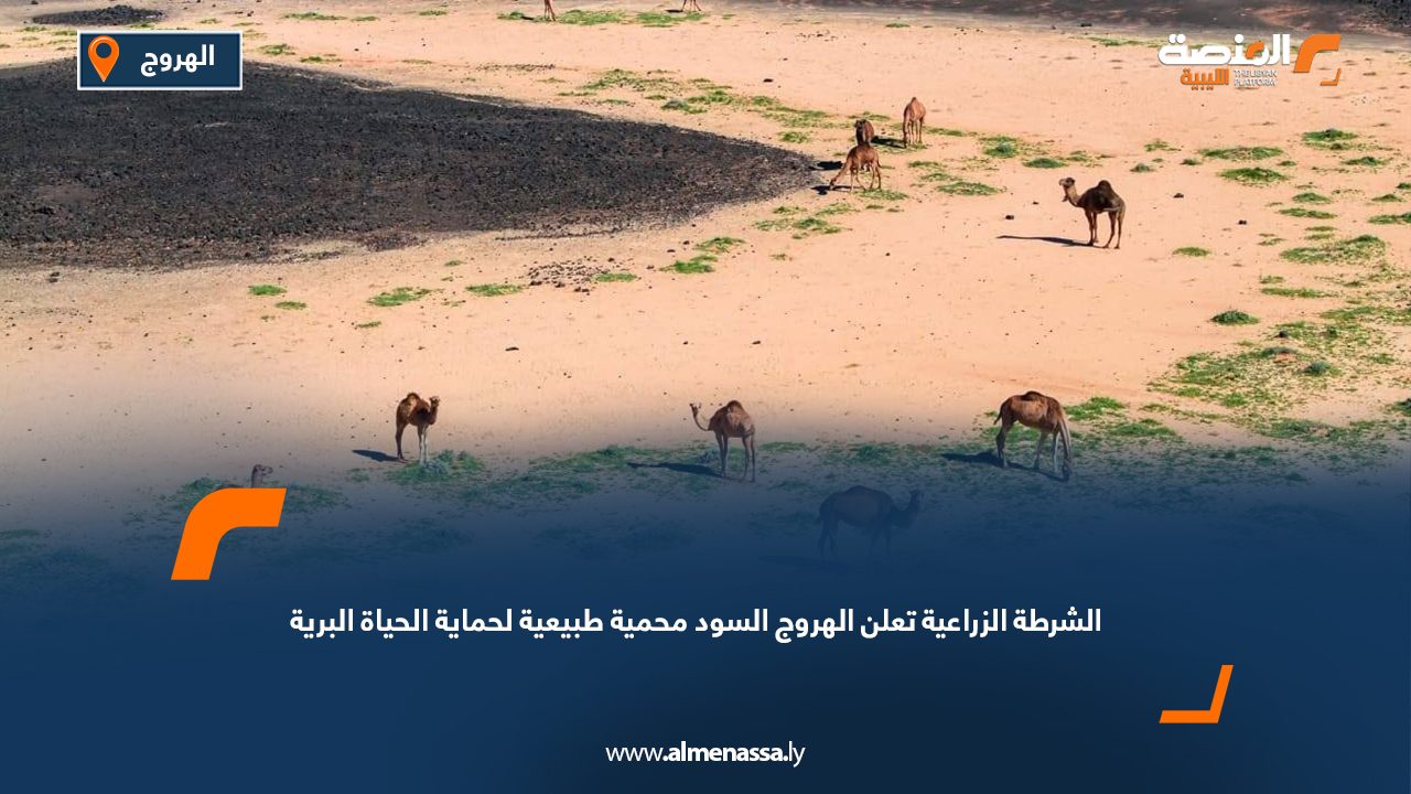 الشرطة الزراعية تعلن الهروج السود محمية طبيعية لحماية الحياة البرية