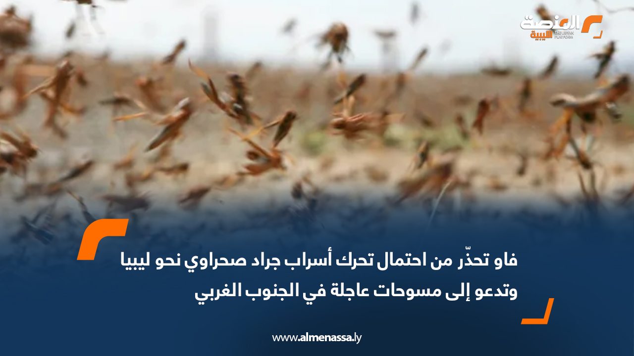 فاو تحذّر من احتمال تحرك أسراب جراد صحراوي نحو ليبيا وتدعو إلى مسوحات عاجلة في الجنوب الغربي