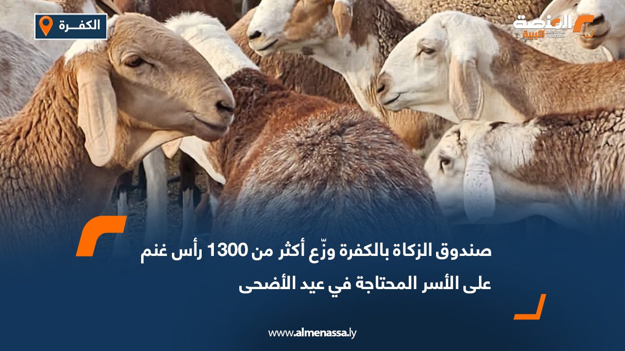 صندوق الزكاة بالكفرة وزّع أكثر من 1300 رأس غنم على الأسر المحتاجة في عيد الأضحى