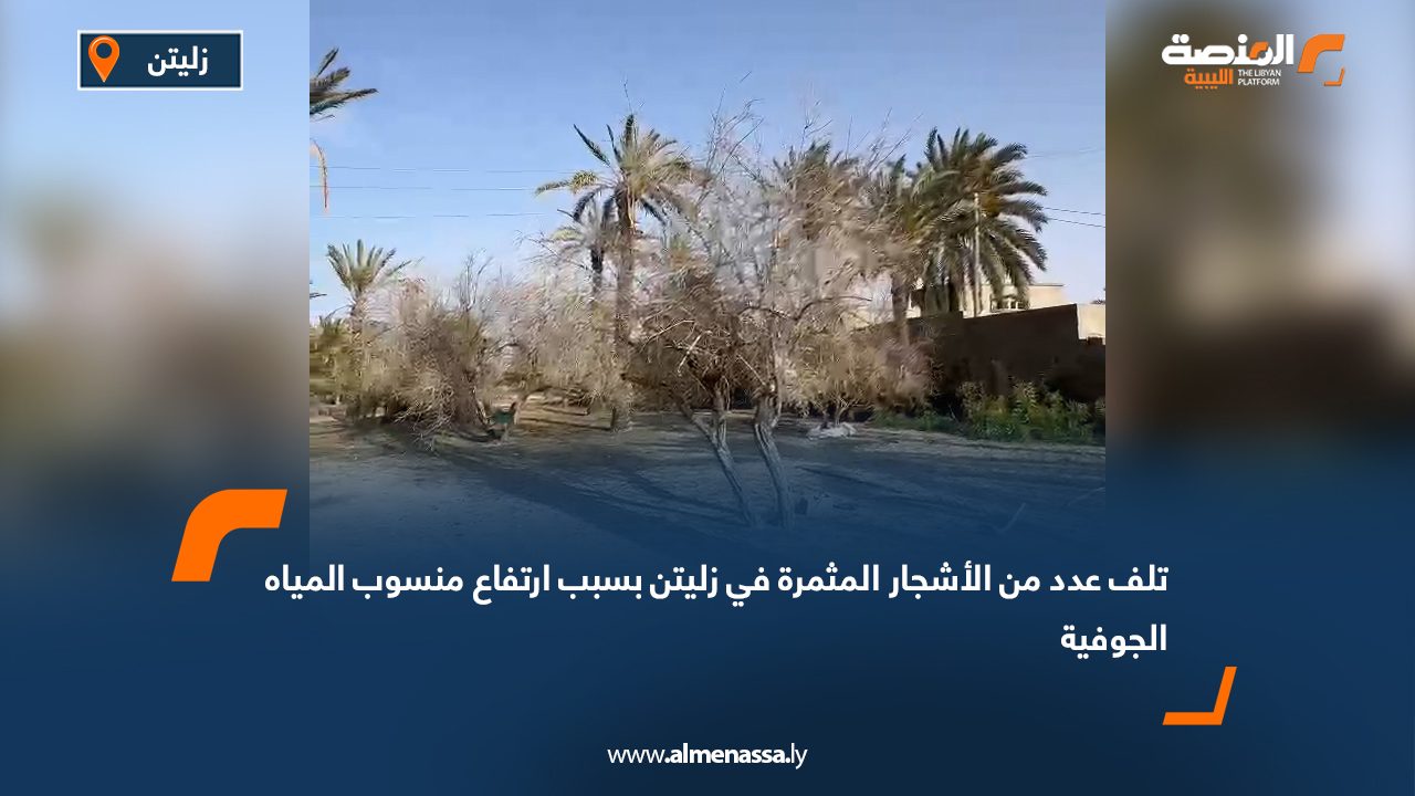 تلف عدد من الأشجار المثمرة في زليتن بسبب ارتفاع منسوب المياه الجوفية