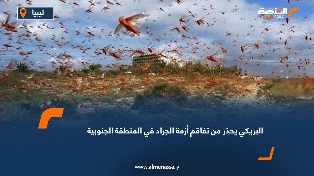 البريكي يحذر من تفاقم أزمة الجراد في المنطقة الجنوبية