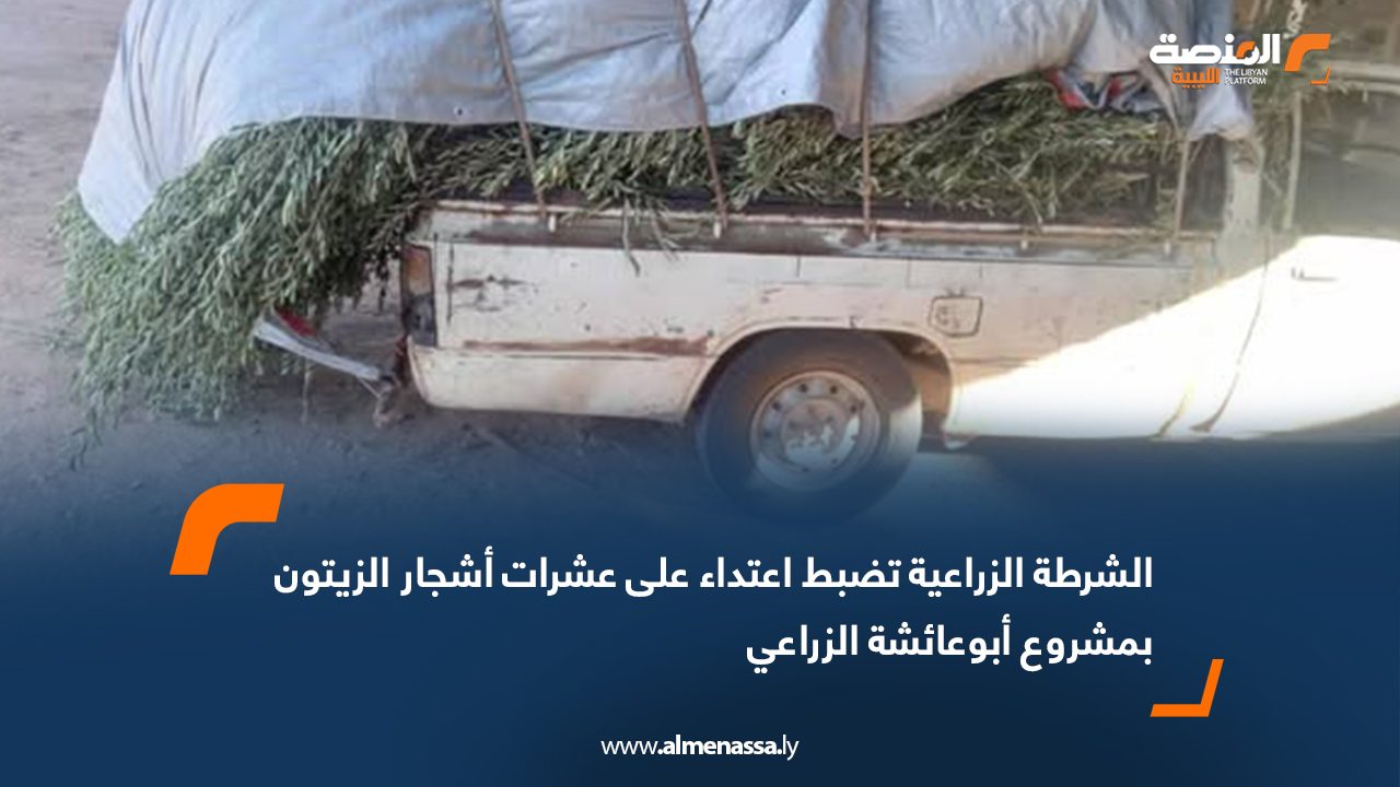 الشرطة الزراعية تضبط اعتداء على عشرات أشجار الزيتون بمشروع أبوعائشة الزراعي