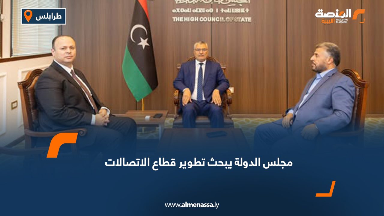 مجلس الدولة يبحث تطوير قطاع الاتصالات