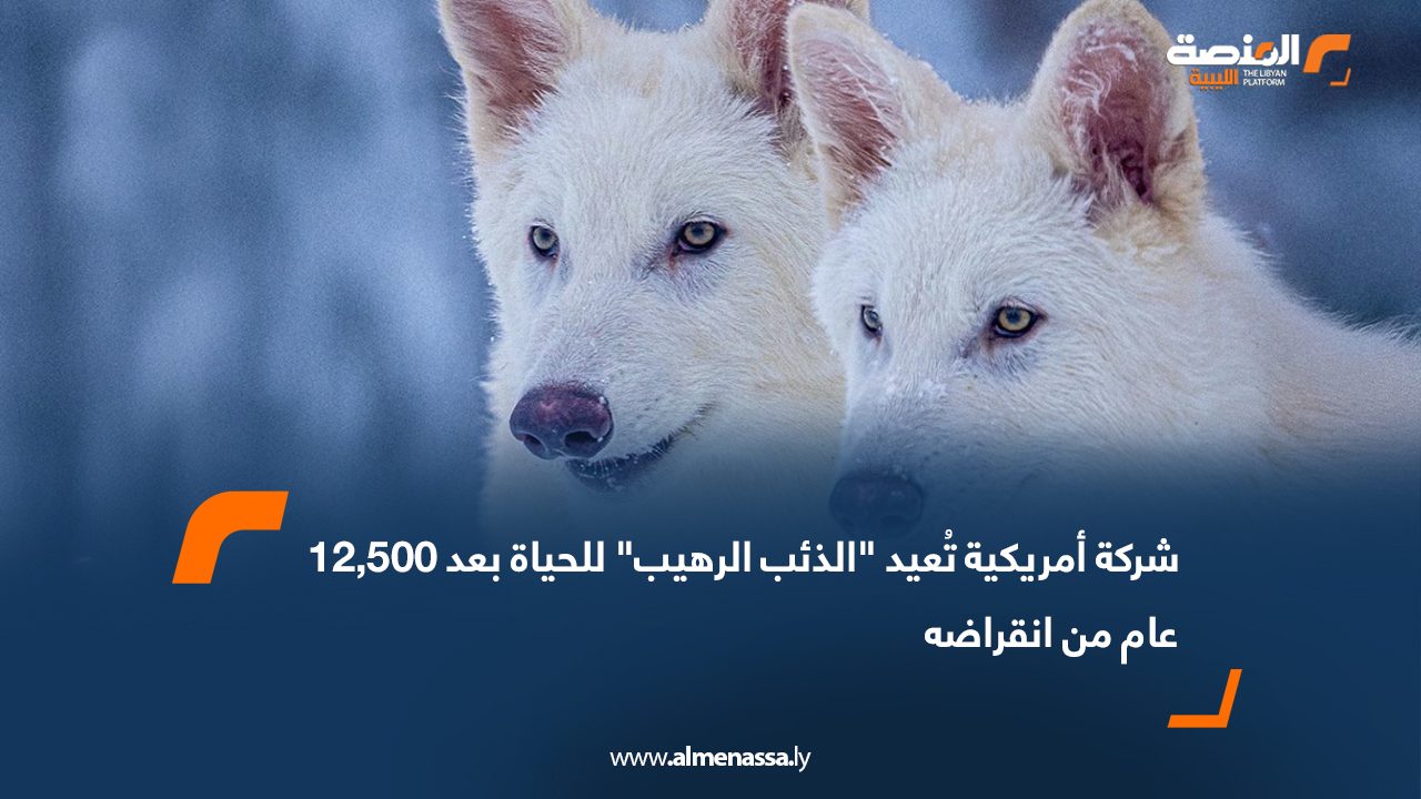 شركة أمريكية تُعيد "الذئب الرهيب" للحياة بعد 12,500 عام من انقراضه