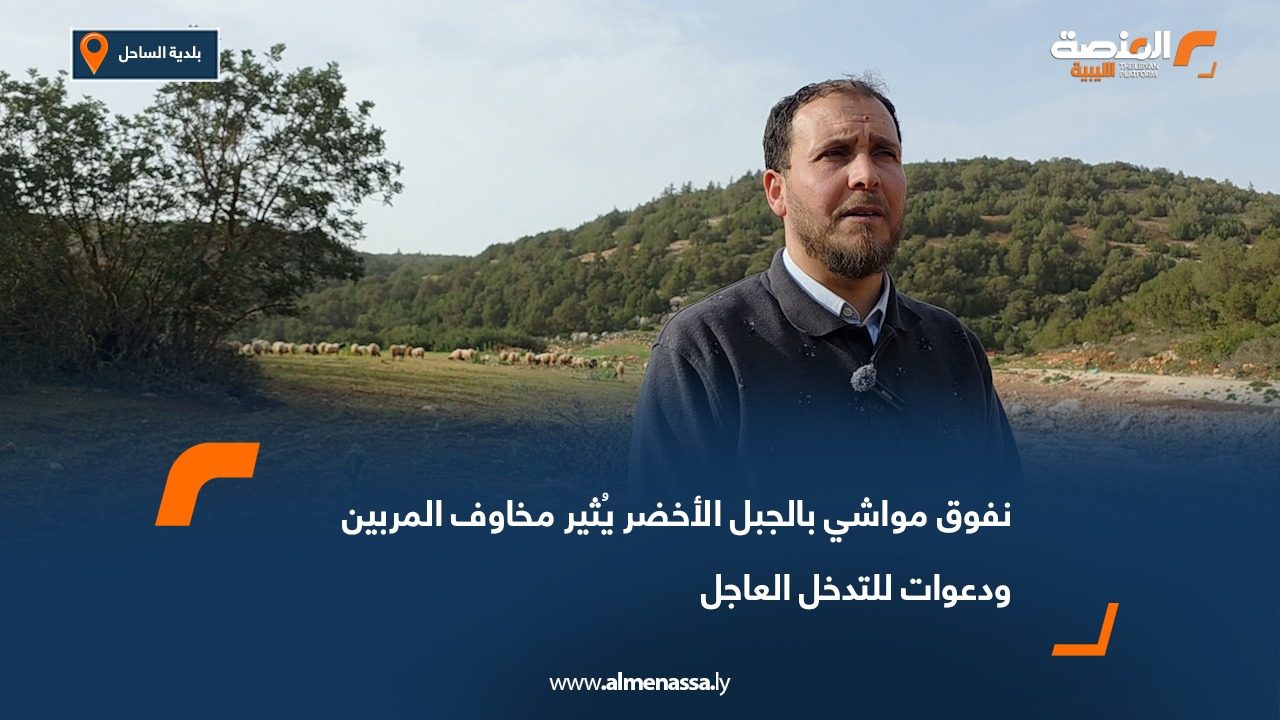 نفوق مواشي بالجبل الأخضر يُثير مخاوف المربين ودعوات للتدخل العاجل