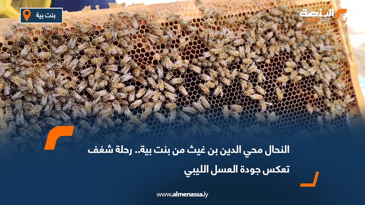 النحال محي الدين بن غيث من بنت بية.. رحلة شغف تعكس جودة العسل الليبي
