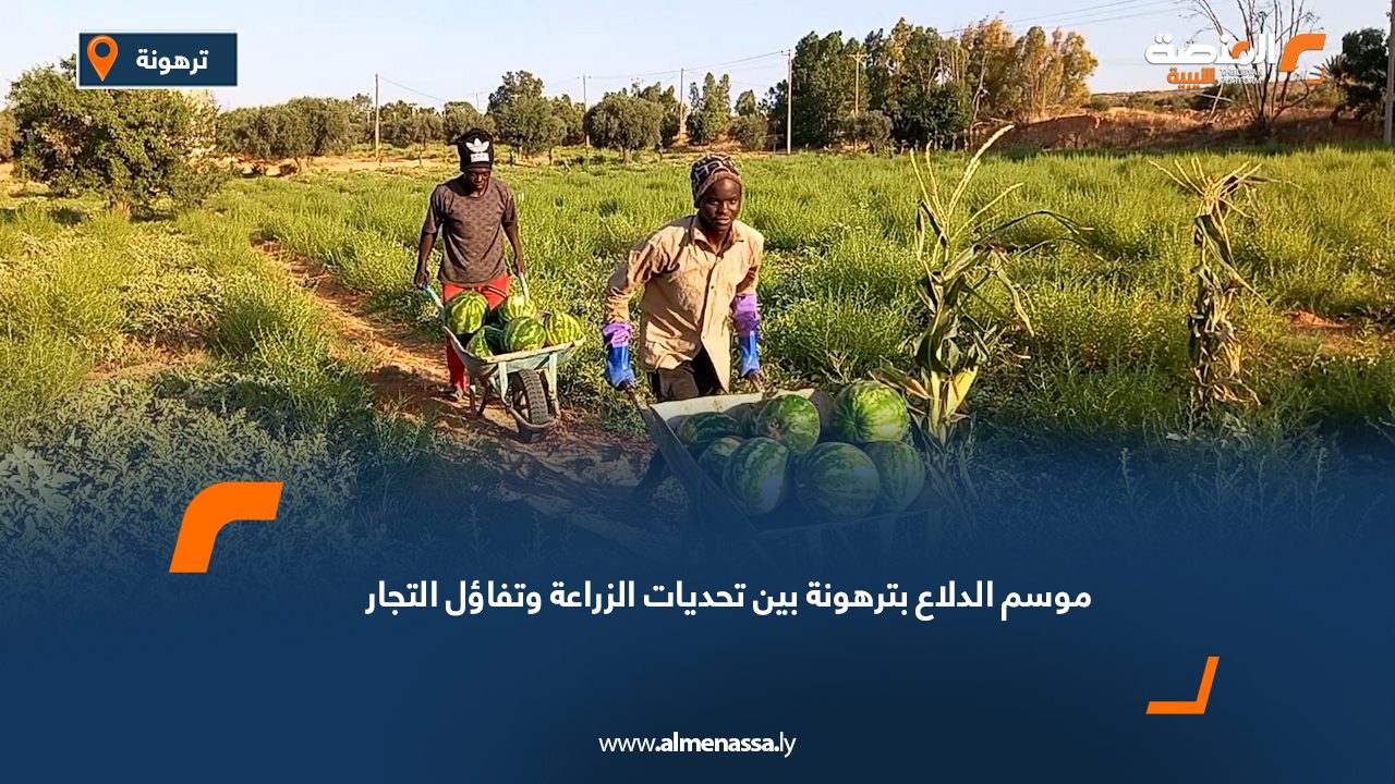 موسم الدلاّع بترهونة بين تحديات الزراعة وتفاؤل التجار