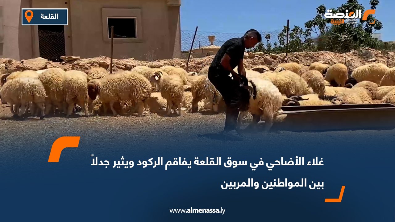 غلاء الأضاحي في سوق القلعة يفاقم الركود ويثير جدلاً بين المواطنين والمربين