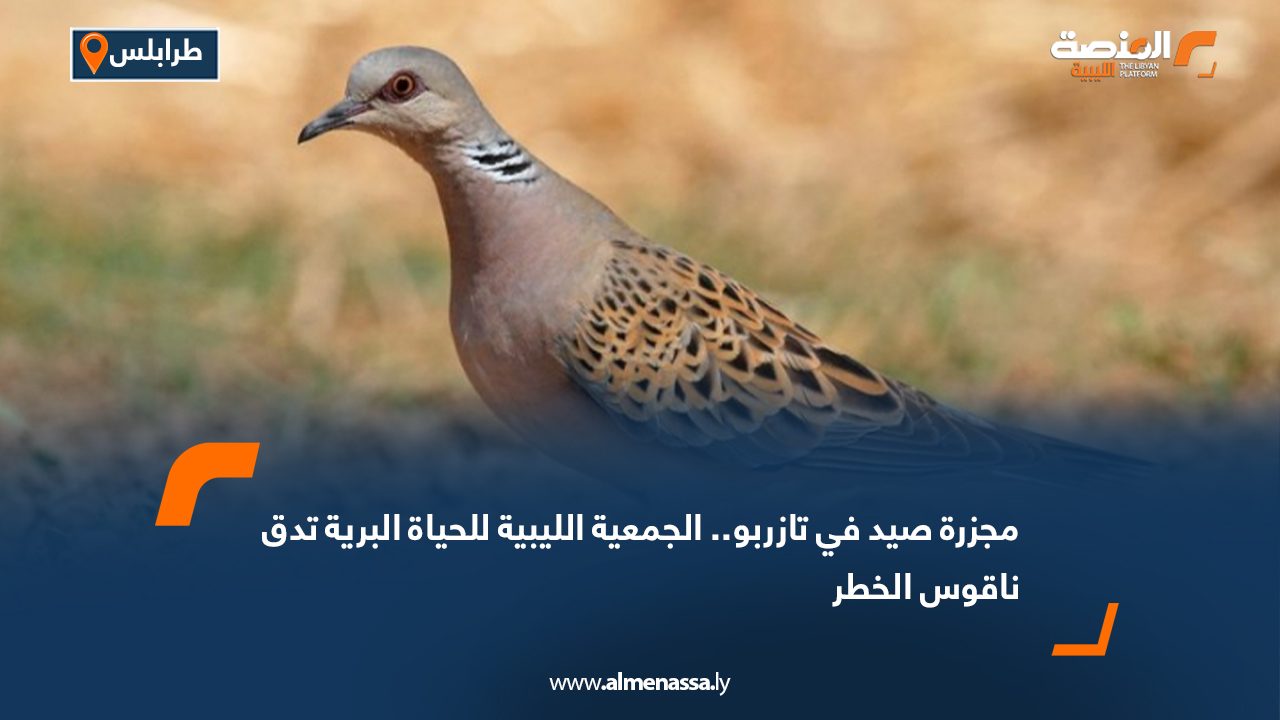 مجزرة صيد في تازربو.. الجمعية الليبية للحياة البرية تدق ناقوس الخطر