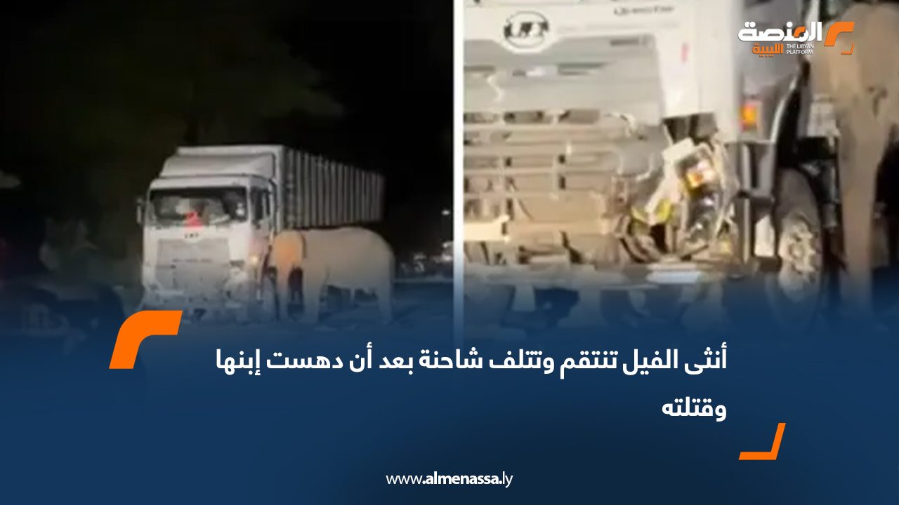 أنثى الفيل تنتقم وتتلف شاحنة بعد أن دهست إبنها وقتلته