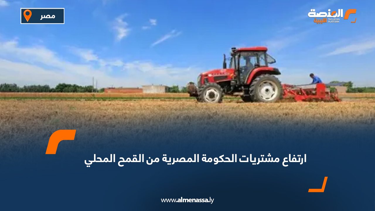 ارتفاع مشتريات الحكومة المصرية من القمح المحلي